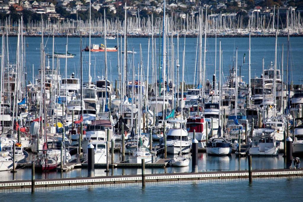 Vr Takapuna Auckland Eksteriør bilde The marina at Shelter Cove